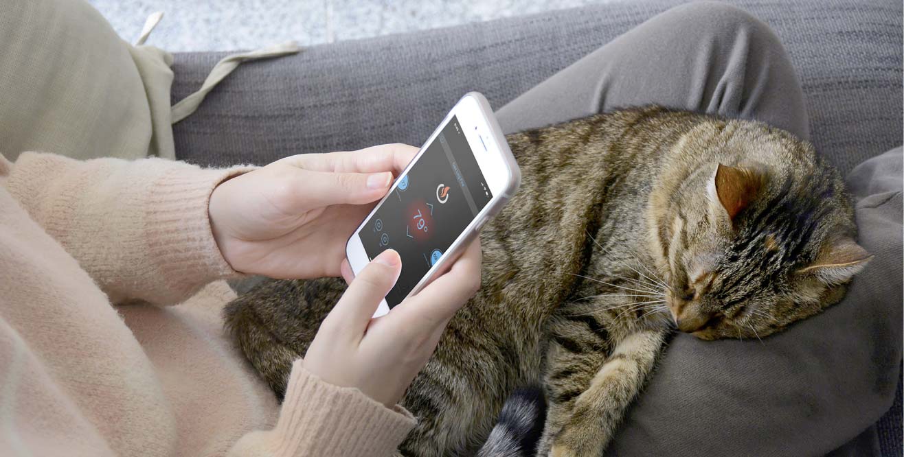 Cat-on-Lap-with-App-on-Phone