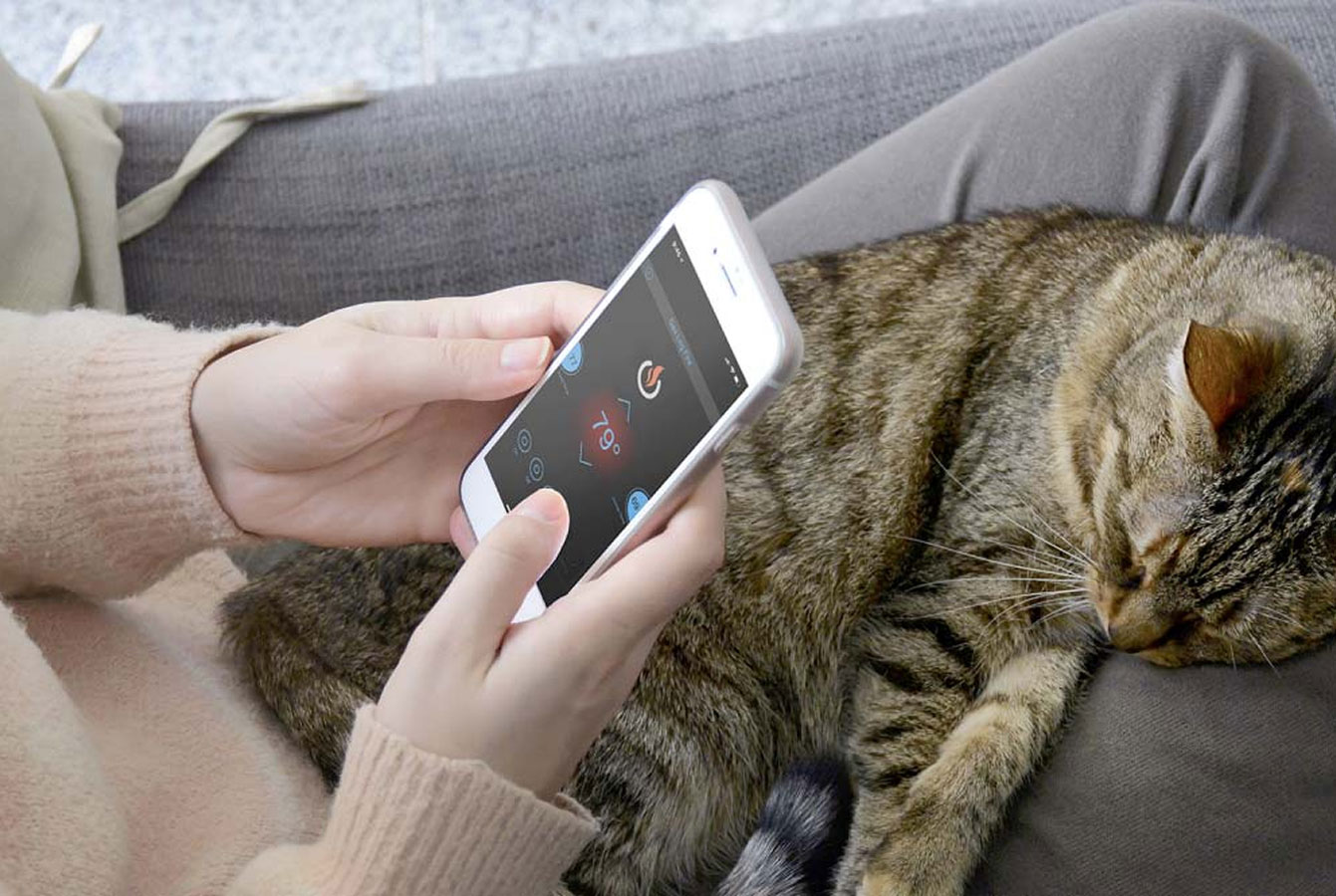 Cat-on-Lap-HP-Feature