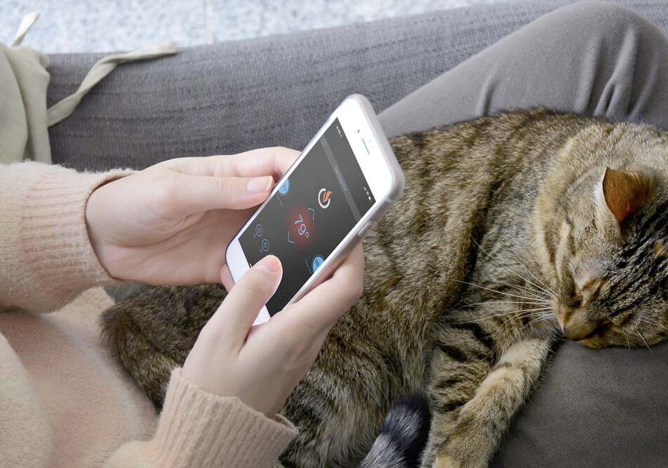 Cat-on-Lap-with-App-on-Phone